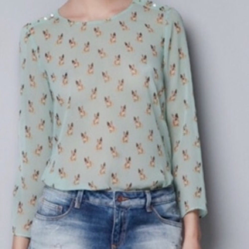 👑ZARA TRAFALUC👑 FRENCH BULLDOG SHEER BLOUS…
